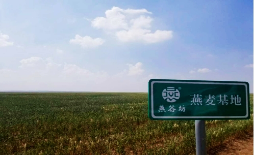 燕谷坊集团：升华地方特色产业的强本扶贫之路